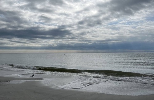 Homosassa Apartment | Homosassa: Home of the Manatee, spacious 900 square foot, 1 bedroom, furnished