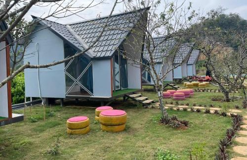 Moc Chau Other | Homstay Mimosa Mộc Châu