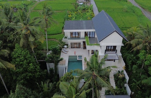 Andong Villa | Honey Villa Ubud By Island Escape