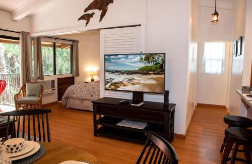 Maalaea House | Hono Kai Resort C9