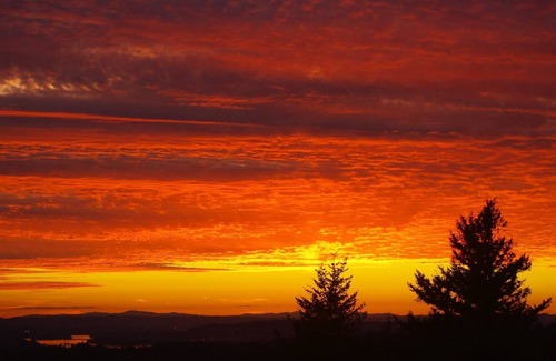 Washougal Cabin | Hooper Hill Hostel