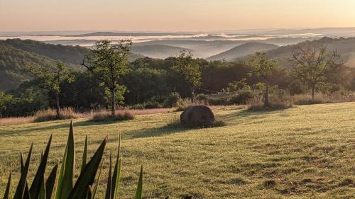 Laval Other | Horizon Mohair