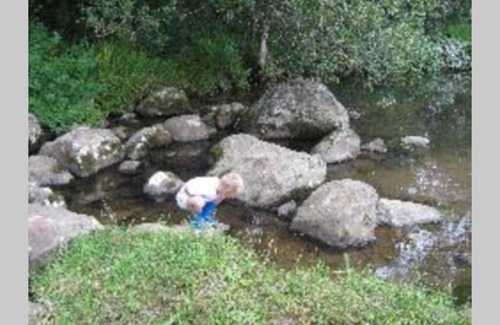 Amahlathi Apartment | Hornbills Forest Cottages