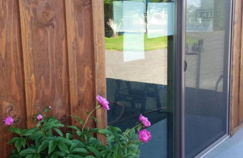 Walla Walla House | Horsing Around In The Barn (Pet friendly)