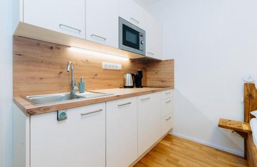 Loucna Pod Klinovcem Apartment | Horský apartmán Temari 10 Klínovec