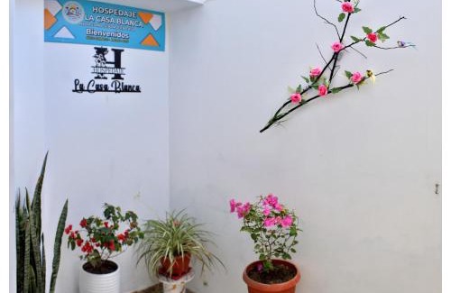 Nuevo Chimbote House | Hospedaje La Casa Blanca
