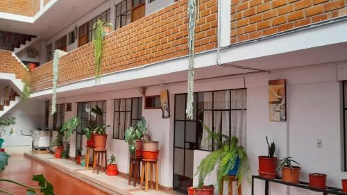 Oxapampa House | HOSPEDAJE D`NOA En el centro de Oxapampa