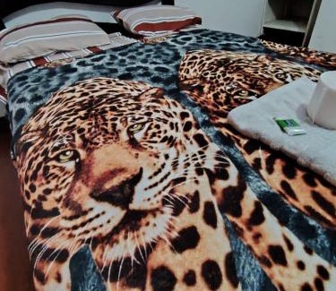 Chachapoyas House | Hospedaje Samay