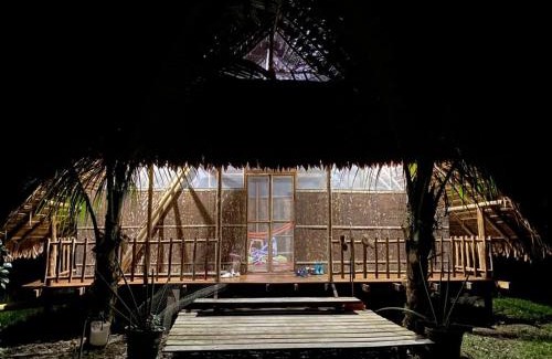 Leticia Other | Hospedaje SELVA DE AVES