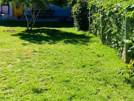 Caraiva Hotel | Hospedaria Hibisco Xandó - Caraíva