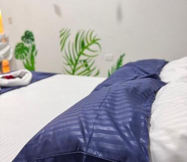 Palomino House | Hostal Cilipo