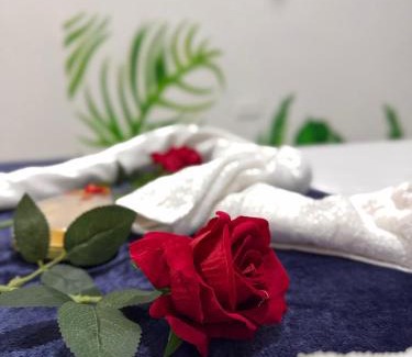 Palomino House | Hostal Cilipo