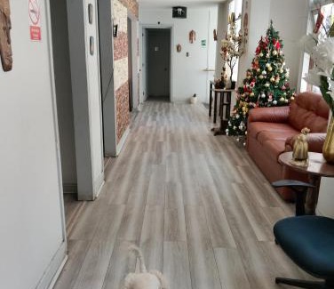 Downtown Santiago House | hostal mancora