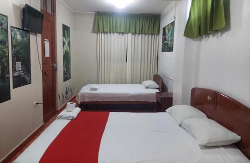 Nueva Cajamarca House | Hostal MonteVerde