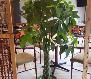 Trobajo del Camino House | Hostal Restaurante El Abuelo