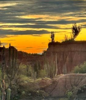 Villavieja Bed & Breakfast | Hostal ROLLED