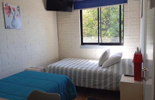 Curico Bed & Breakfast | Hostal Rucatremo