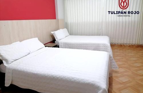 Lambayeque House | Hostal Terraoro