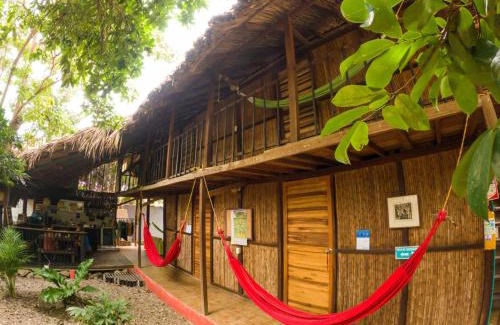 Palomino House | Hostal Zinpar