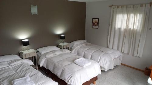 Esquel Hotel | Hosteria Andina