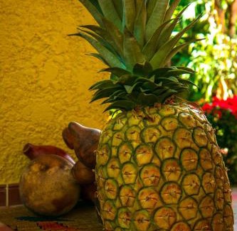 Santa Fe de Antioquia Hotel | Hosteria Tonusco Campestre