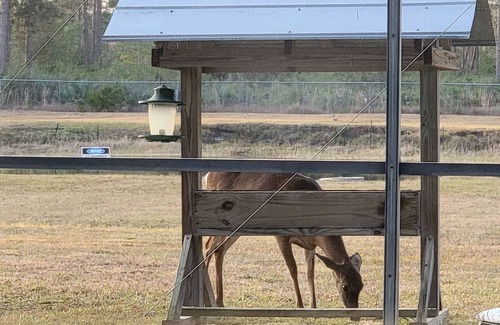 Wedgefield House | Hot Tub and Heated Pool on over 4 acres! Super quiet, peaceful, and private!