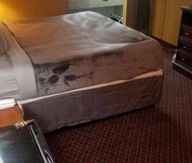 Stillwater Apartment | Hotel 2 Queens Hotel Room 130 Booking