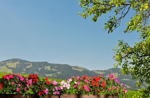 Verwaltungsgemeinschaft Hornergruppe Hotel | Hotel Alpenblick