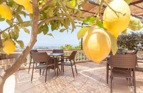 Casamicciola Terme Hotel | Hotel Ape Regina