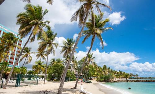 Pointe de la verdure Hotel | Hotel Arawak Beach Resort