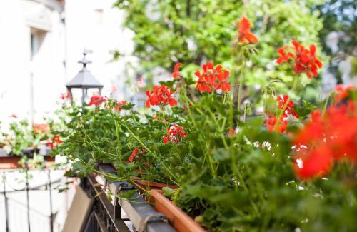 Slupsk Hotel | Hotel Atena