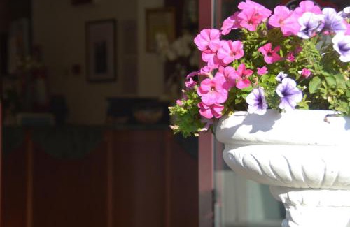 Bellariva Hotel | Hotel Bel Sogno