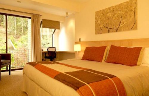 Renaca Hotel | Hotel Bosque de Reñaca