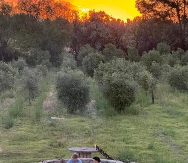 Rincon del Atuel Hotel | Hotel Boutique Miss Olivos