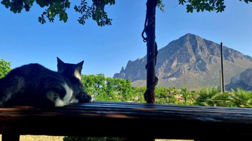 Custonaci Hotel | HOTEL Cala Buguto