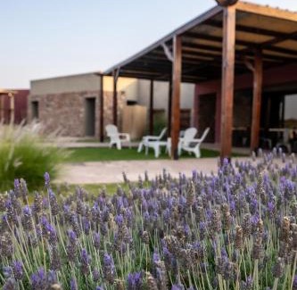 Cafayate Hotel | Hotel Castillos de Cafayate