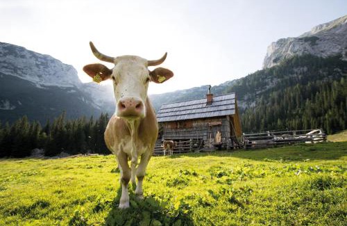 San Pellegrino Pass Hotel | Hotel Costabella