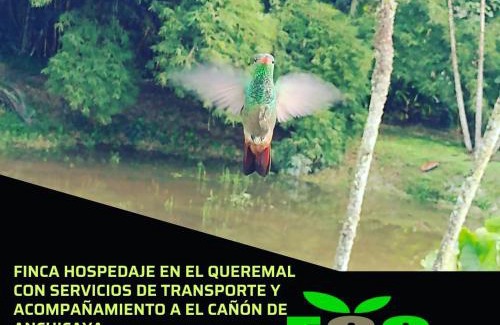 El Queremal House | hotel Ecopolis