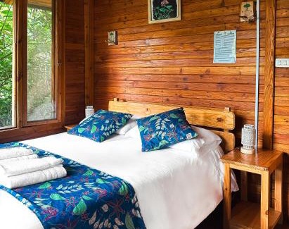 Mindo Hotel | Hotel El Abrazo del Arbol