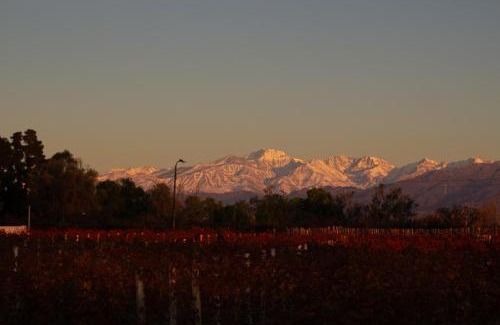 Maipu Hotel | hotel el aguamiel