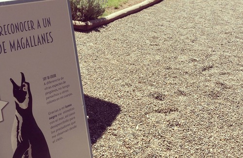 Punta Ninfas Hotel | Hotel El Pedral