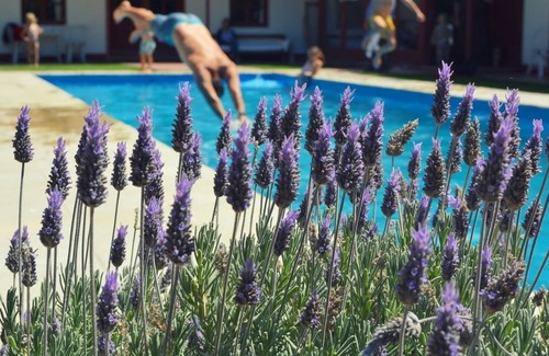 Punta Ninfas Hotel | Hotel El Pedral