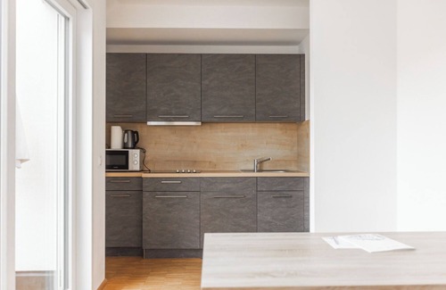 Landshut Apartment | Hotel Freischütz Apartments