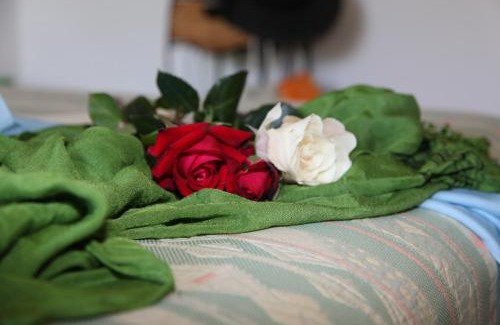 Fetovaia Hotel | Hotel Galli - Wellness & Spa