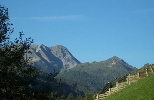 Gerlos Hotel | Hotel Garni Hanslerhof " Urlaub am Bauernhof "