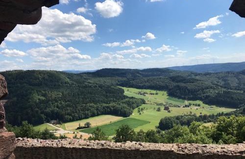 Seelbach Hotel | Hotel Garni Schmieder’s Ochsen