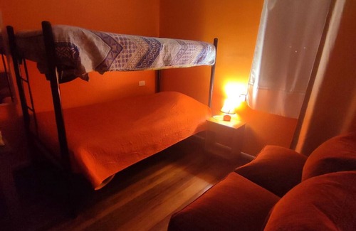 Downtown Santiago Hotel | Hotel Gatos de campo tiernos y traviesos