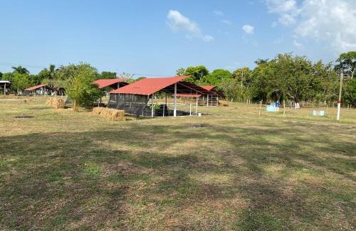 Mahates Bed & Breakfast | Hotel - Granja de Animales San Basilio de Palenque