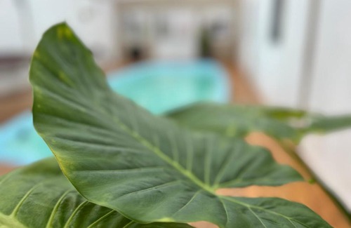 San Clemente Hotel | Hotel Gran Continente