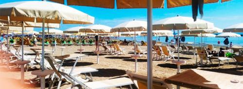 Grottammare Hotel | Hotel lo Squalo